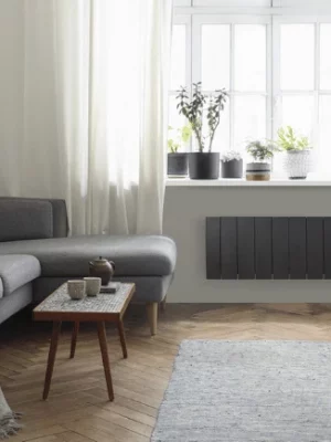 Atlantic Galapagos Bas Gris